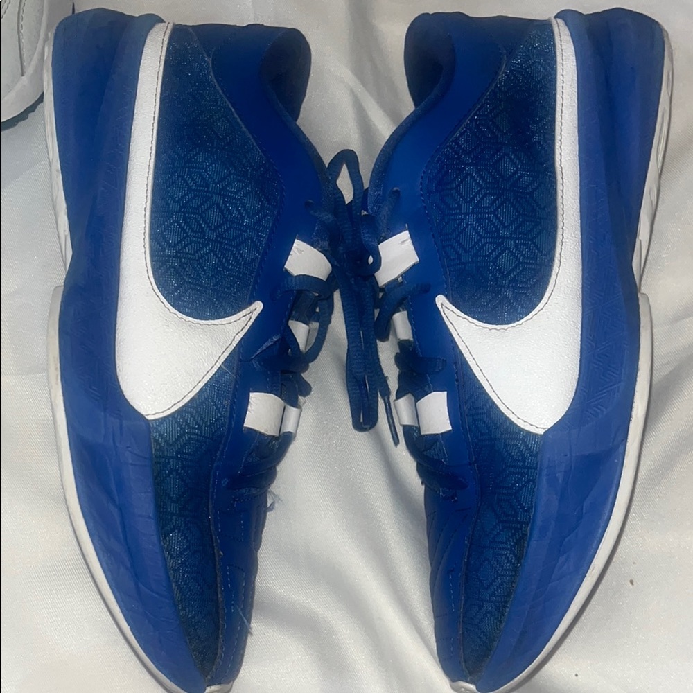 Nike Blue and White Sneakers (Basketball shoes)!!!!
